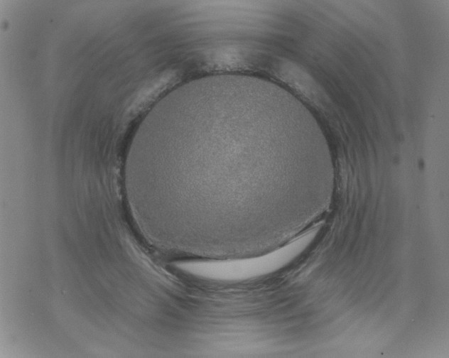 X0000070410450200606231832