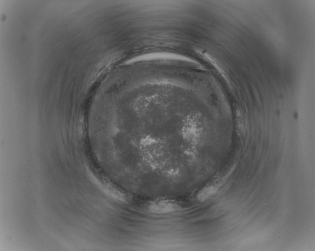 X0000070410451200606231832