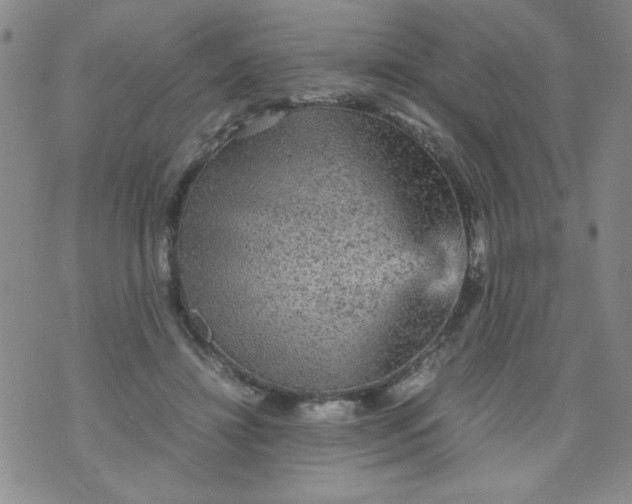 X0000070410452200606231832