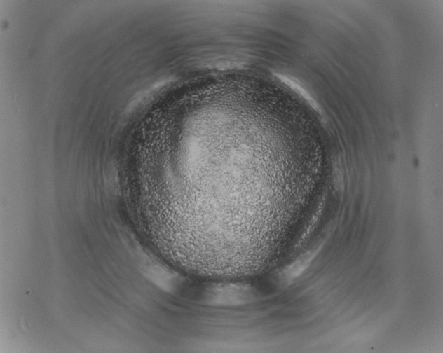 X0000070410453200606231832