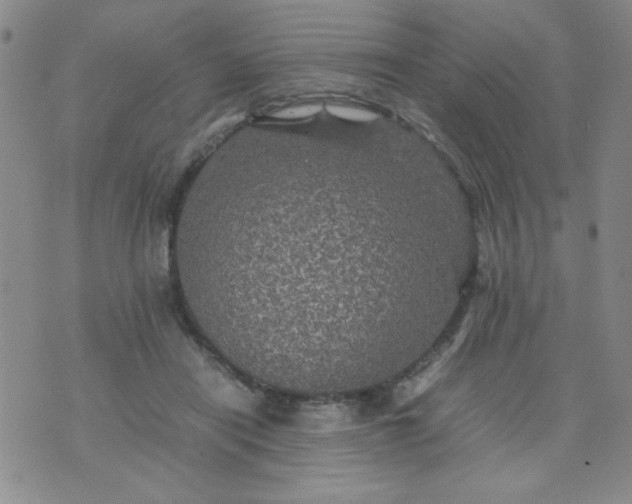 X0000070410454200606231832