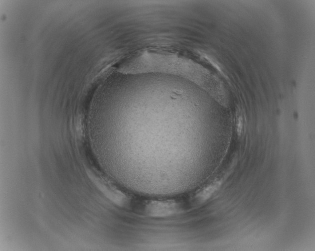 X0000070410455200606231832