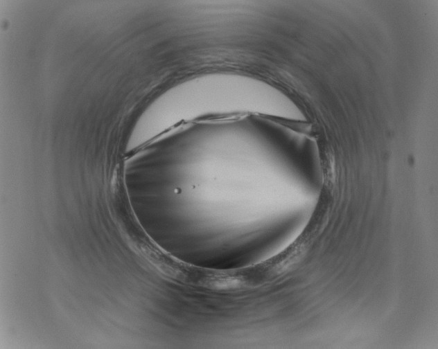 X0000070410456200606231832