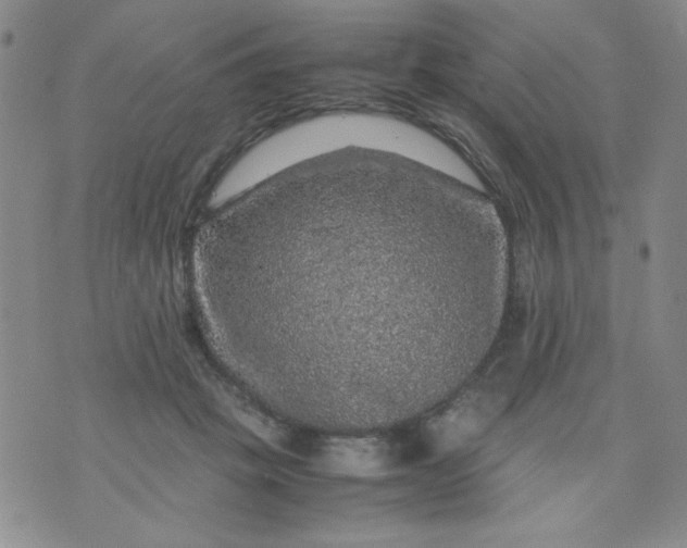 X0000070410457200606231832