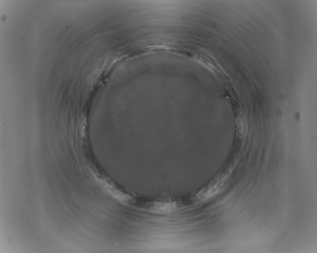 X0000070410458200606231832