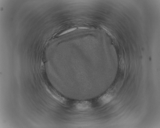 X0000070410459200606231832