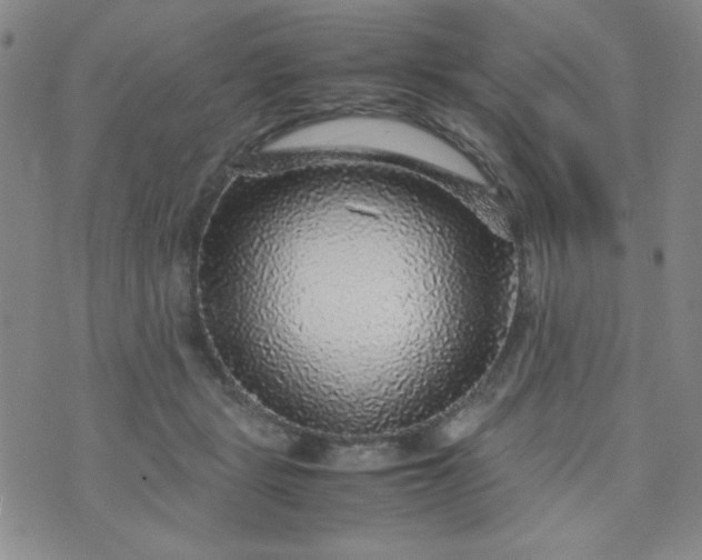 X0000070410461200606231832