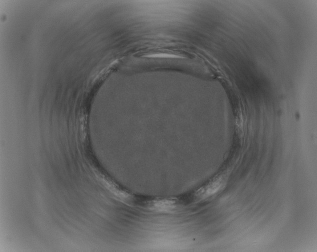 X0000070410462200606231832