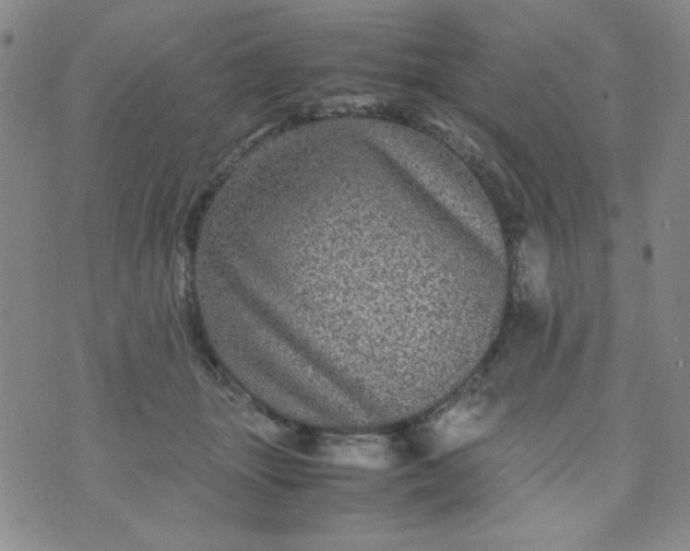 X0000070410463200606231832