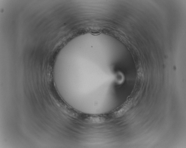 X0000070410464200606231832