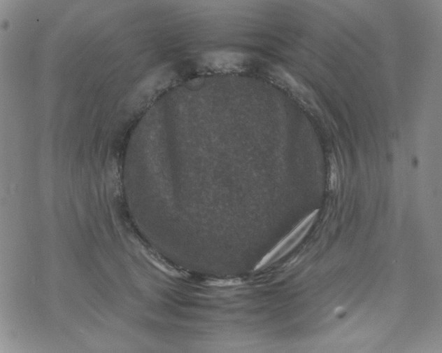 X0000070410465200606231832