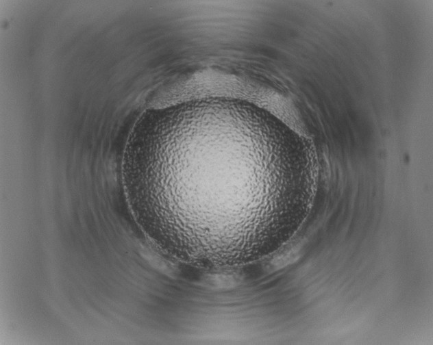 X0000070410466200606231832