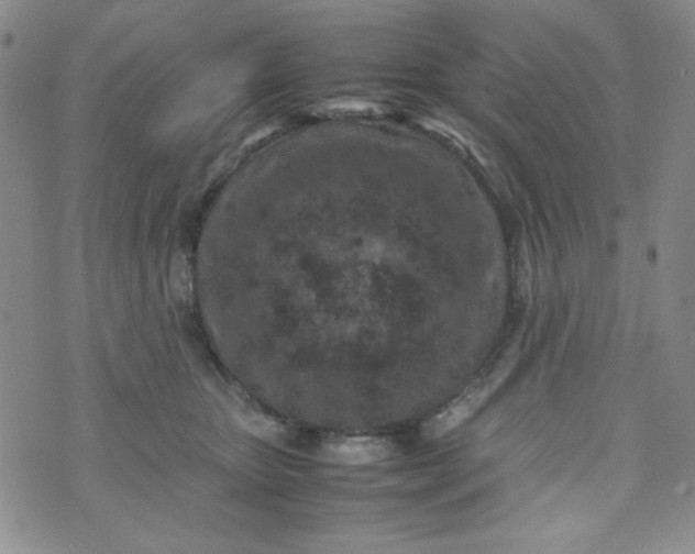 X0000070410467200606231832