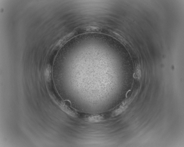 X0000070410468200606231832