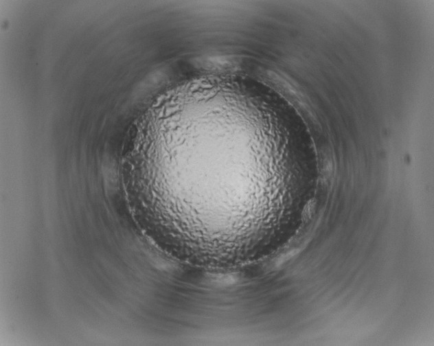 X0000070410469200606231832