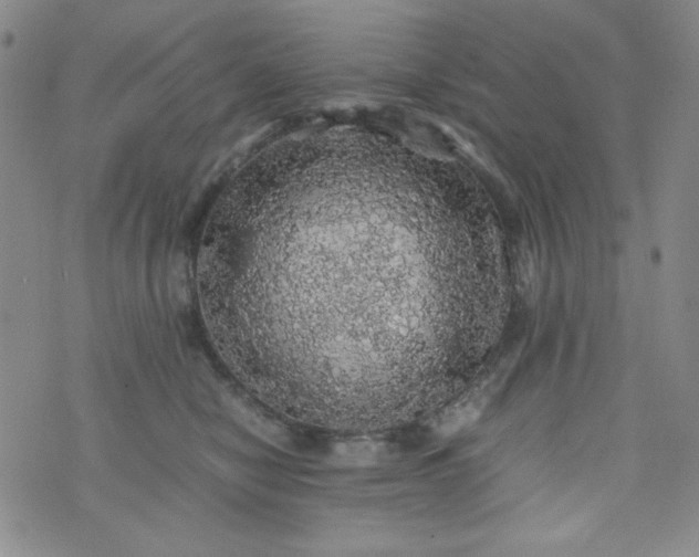 X0000070410470200606231832