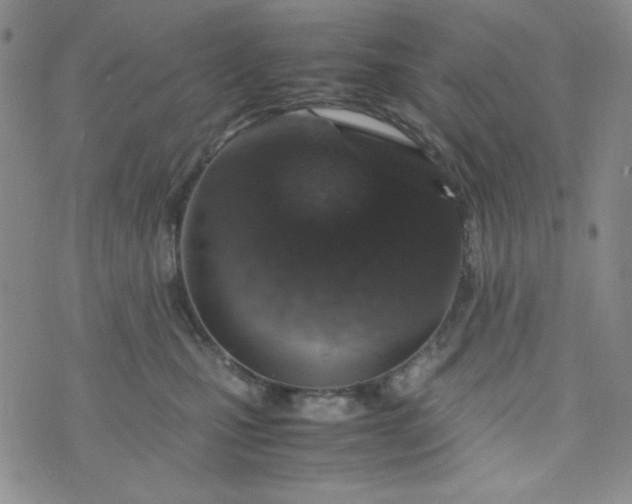 X0000070410471200606231832