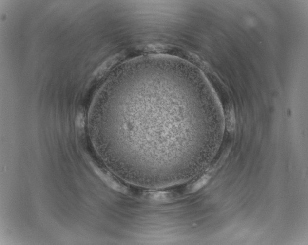 X0000070410472200606231832