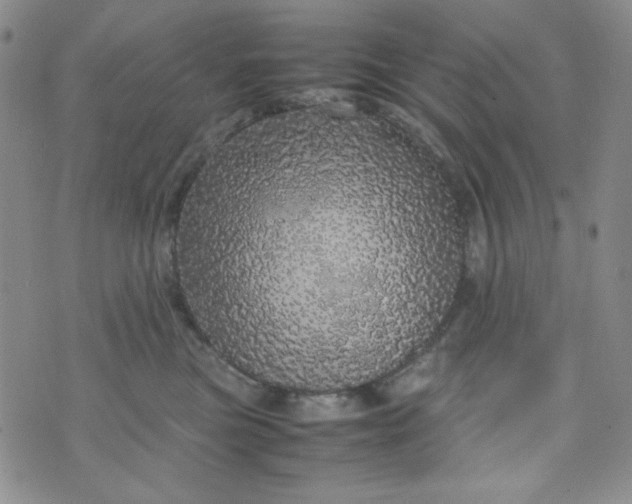 X0000070410473200606231832