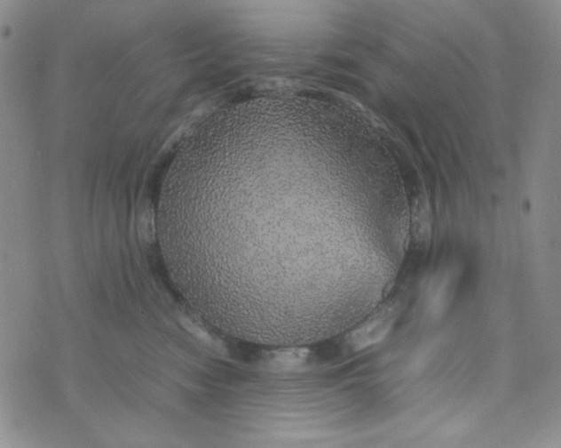 X0000070410474200606231832