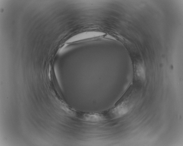 X0000070410475200606231832