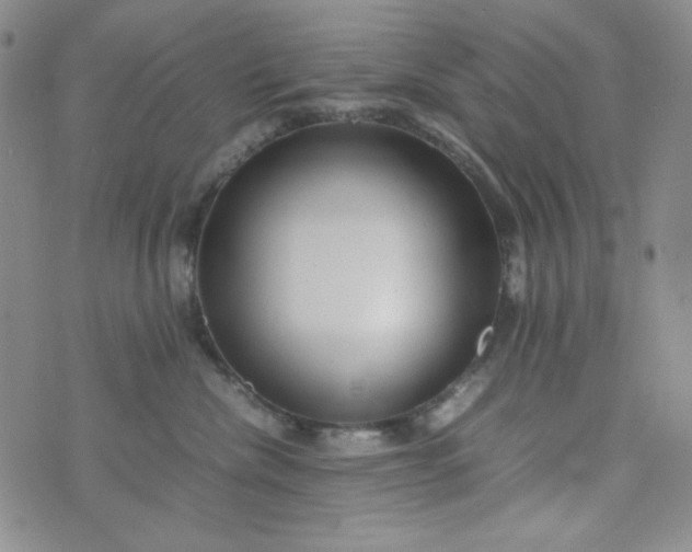 X0000070410476200606231832