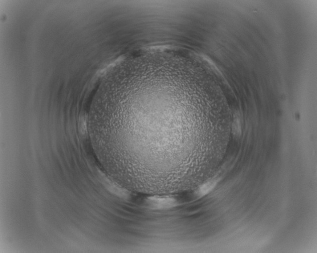 X0000070410477200606231833