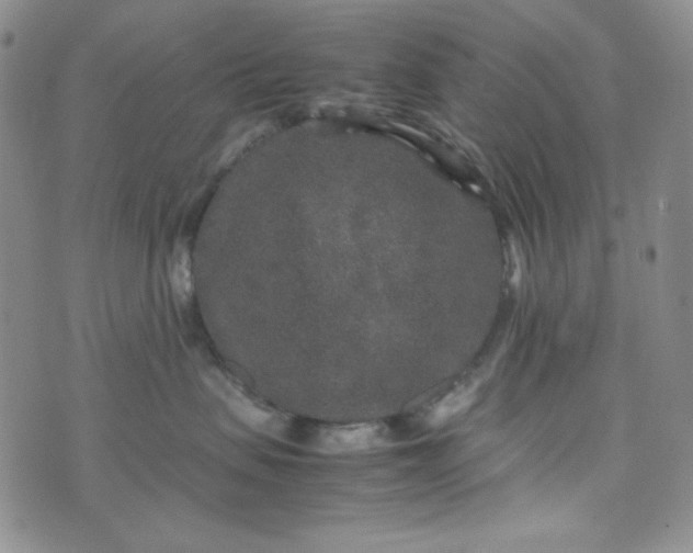 X0000070410479200606231833