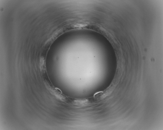 X0000070410480200606231833