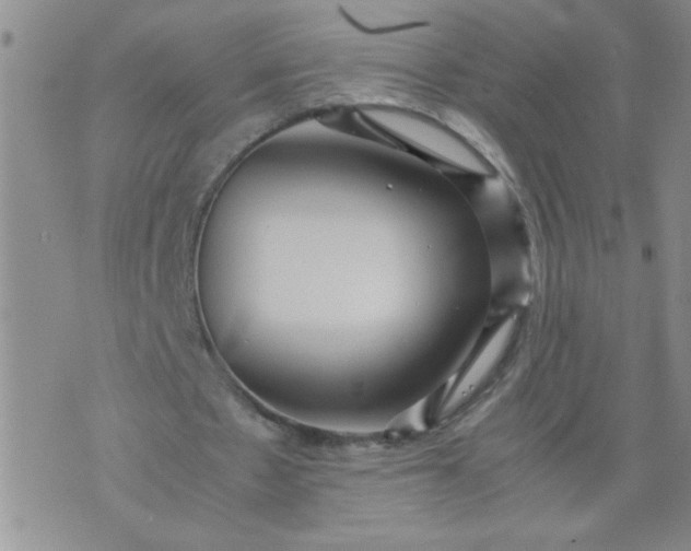 X0000070410481200606231832