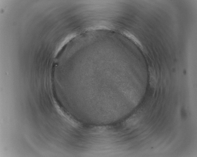 X0000070410482200606231832