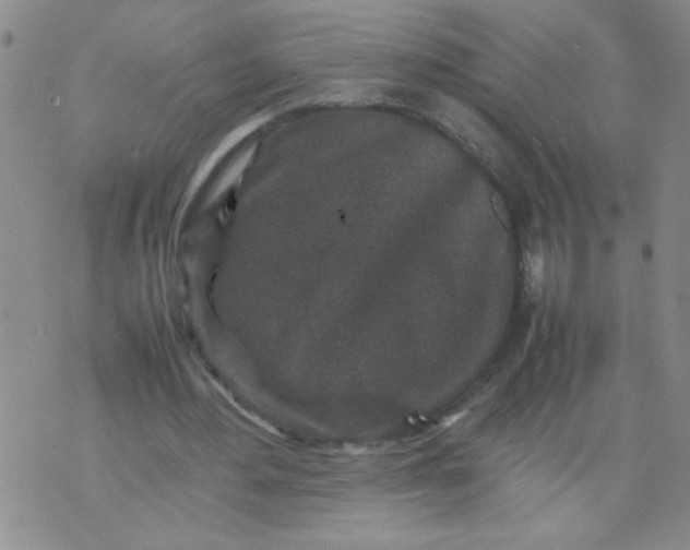 X0000070410484200606231832