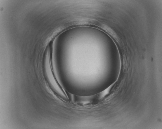 X0000070410485200606231832