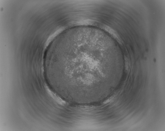 X0000070410486200606231832