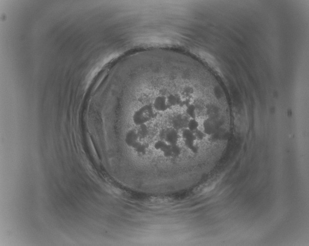 X0000070410487200606231832