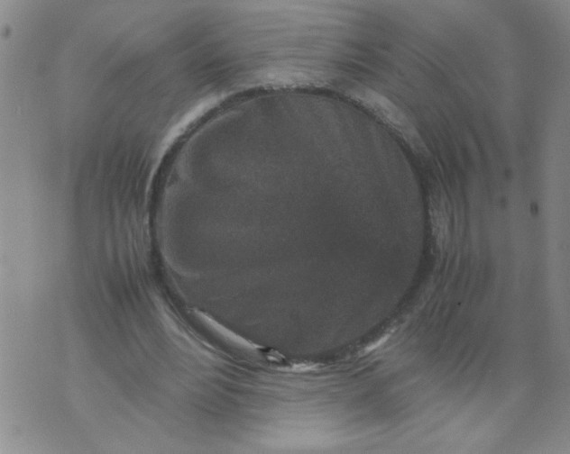 X0000070410488200606231832