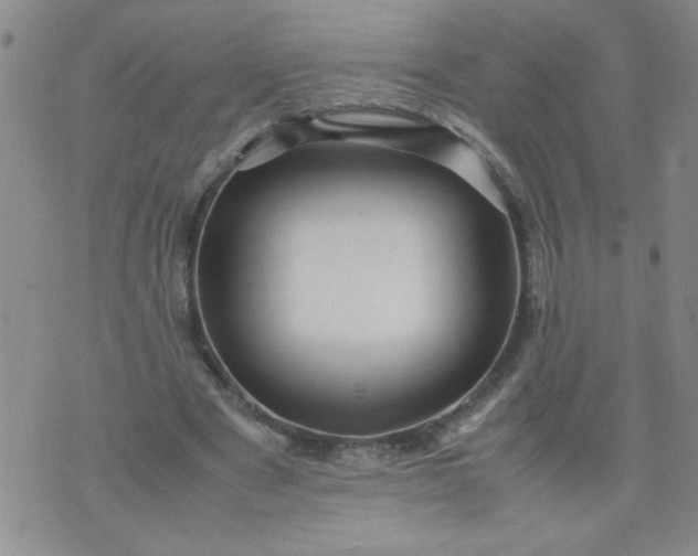 X0000070410489200606231832