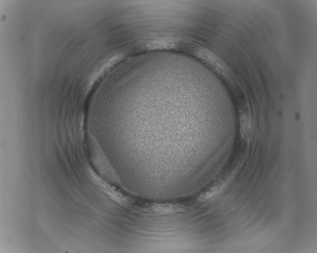 X0000070410490200606231832