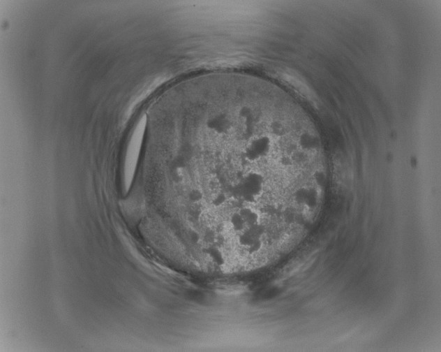 X0000070410491200606231832