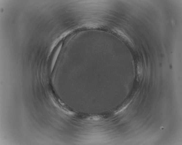 X0000070410492200606231832