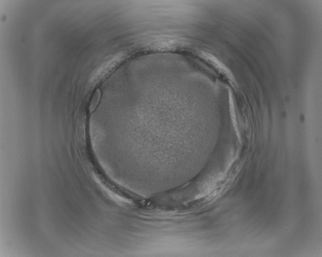 X0000070410493200606231832