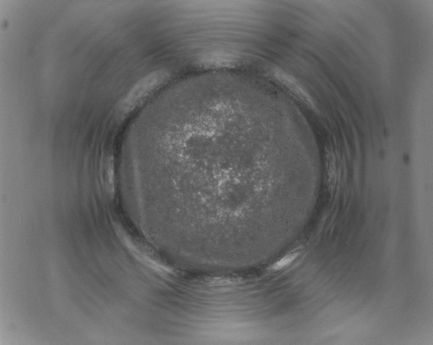 X0000070410494200606231832