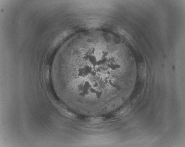 X0000070410495200606231832