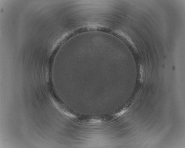 X0000070410496200606231832