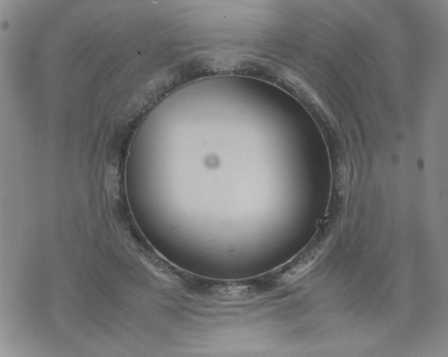 X0000070410497200606231832