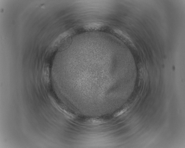 X0000070410498200606231831