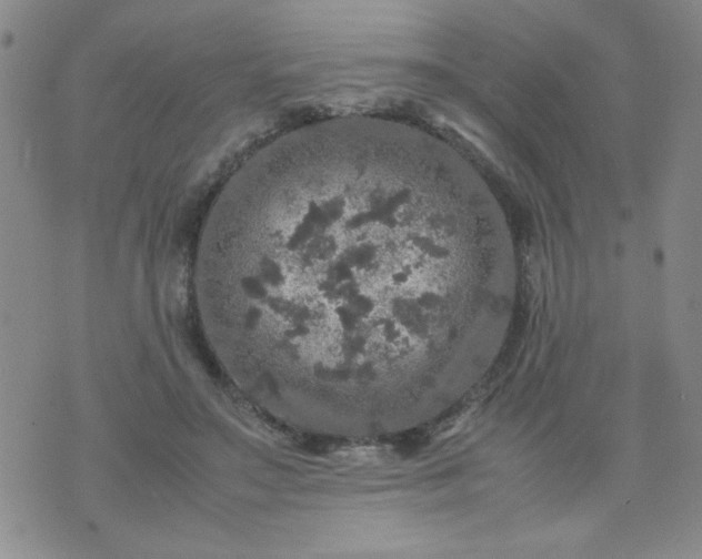 X0000070410499200606231831