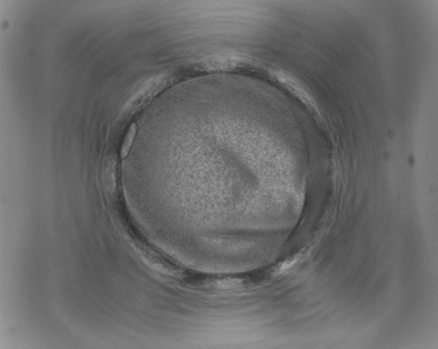 X0000070410501200606231831