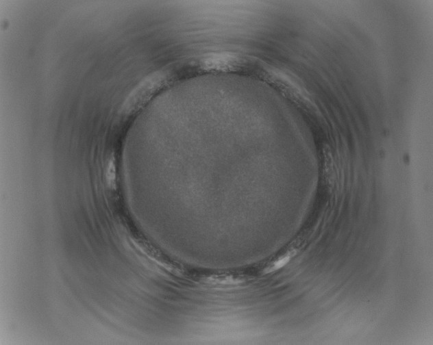 X0000070410502200606231831