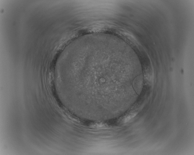 X0000070410503200606231831